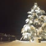 1654206_10206580532206664_5285849618677025304_n (1)