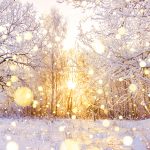 Beautiful,Snowy,Winter,Landscape,Panorama,With,Forest,And,Sun.,Winter